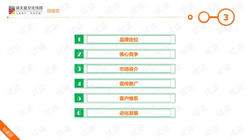 大米姐品牌營銷策劃案 企業(yè)形象策劃與商業(yè)計劃書精品模板