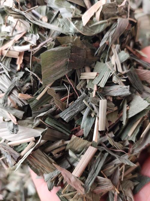 淡竹葉 廣西產地貨竹葉 農產品初加工